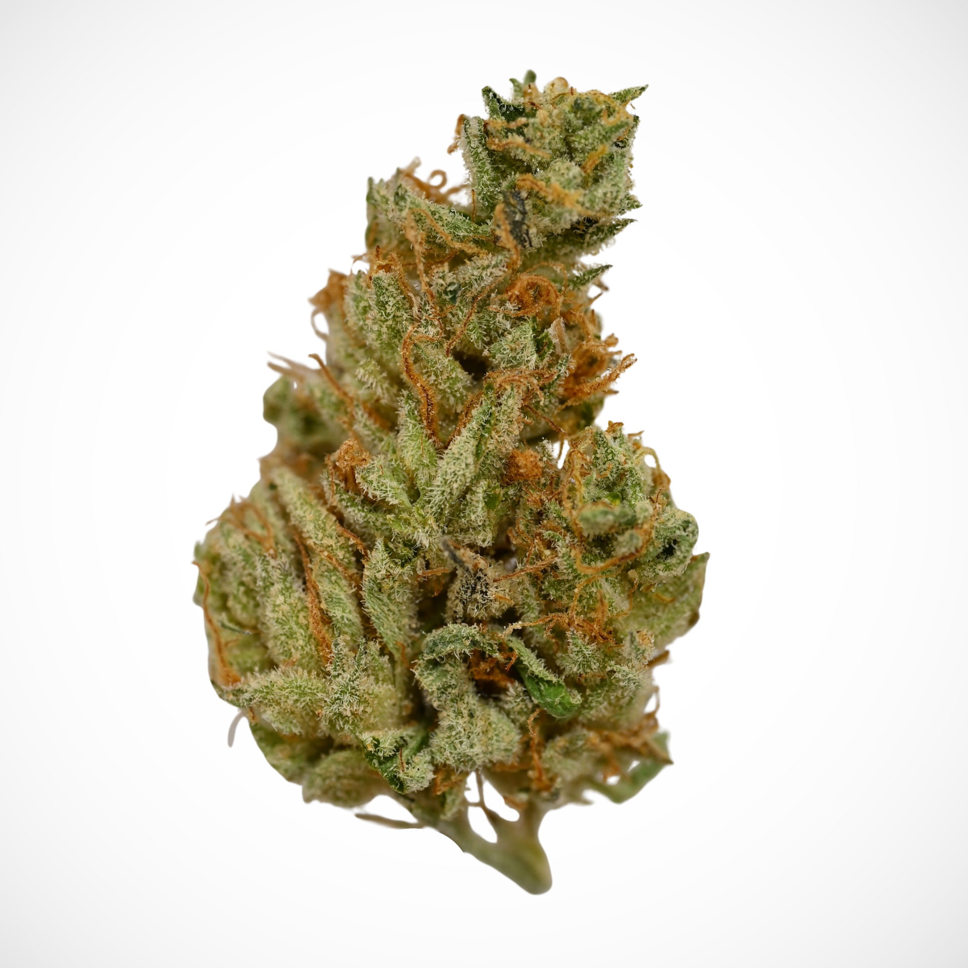 Cannabis flower from Mademen