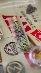 cannabis on a rolling paper 