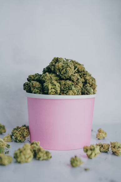 a bucket of cannabis
