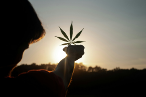 Person holding a cannabis leaf against a Texas sunset, representing the natural balance of a THCa lifestyle
