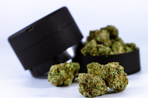 An image of cannabis buds in a black grinder