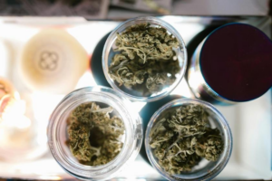 Green THCa cannabis flower stored in a clear glass container