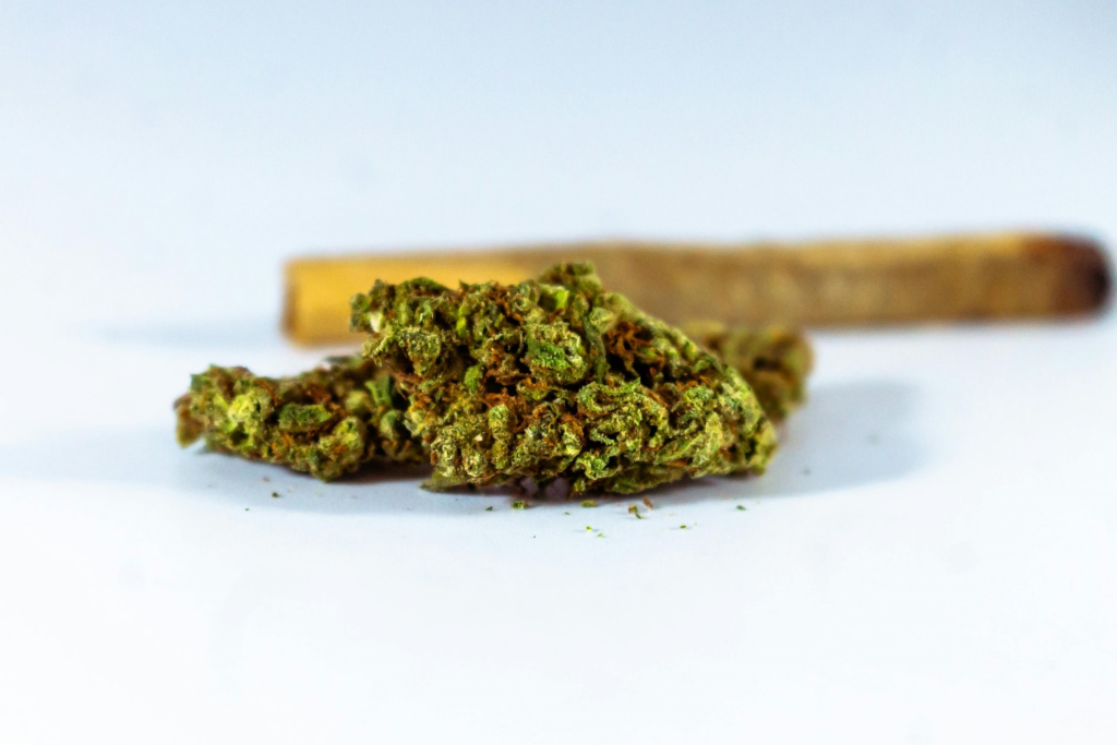 Cannabis bud