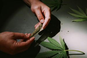 Cannabis joint