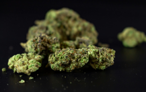  Cannabis buds