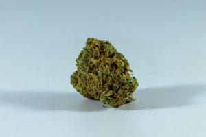 Cannabis bud
