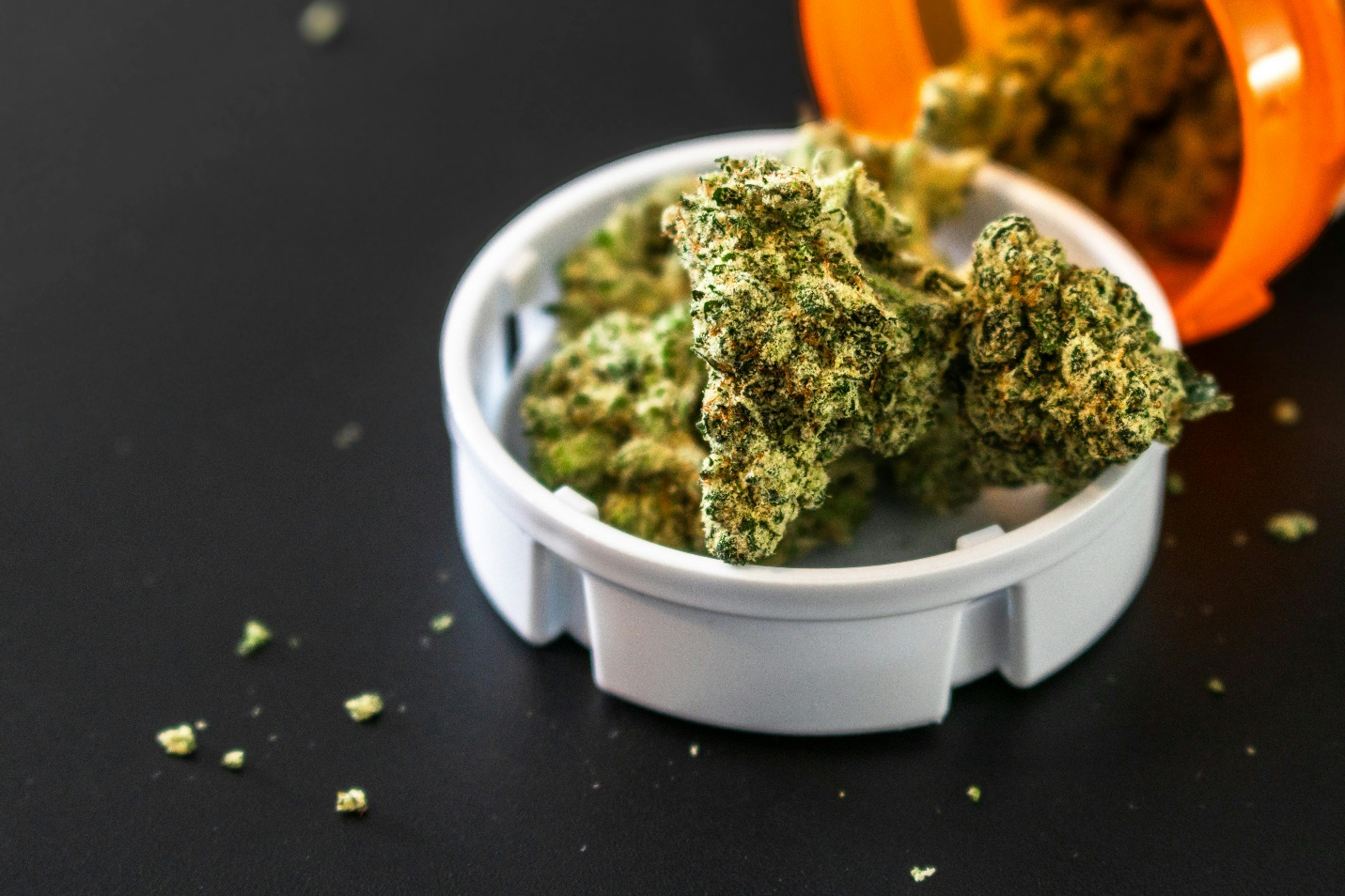 Cannabis buds in a container