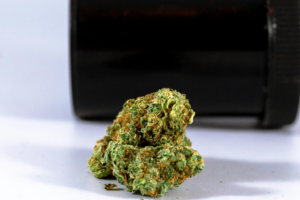 Cannabis bud