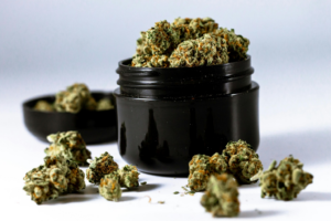 Cannabis buds in a black container 