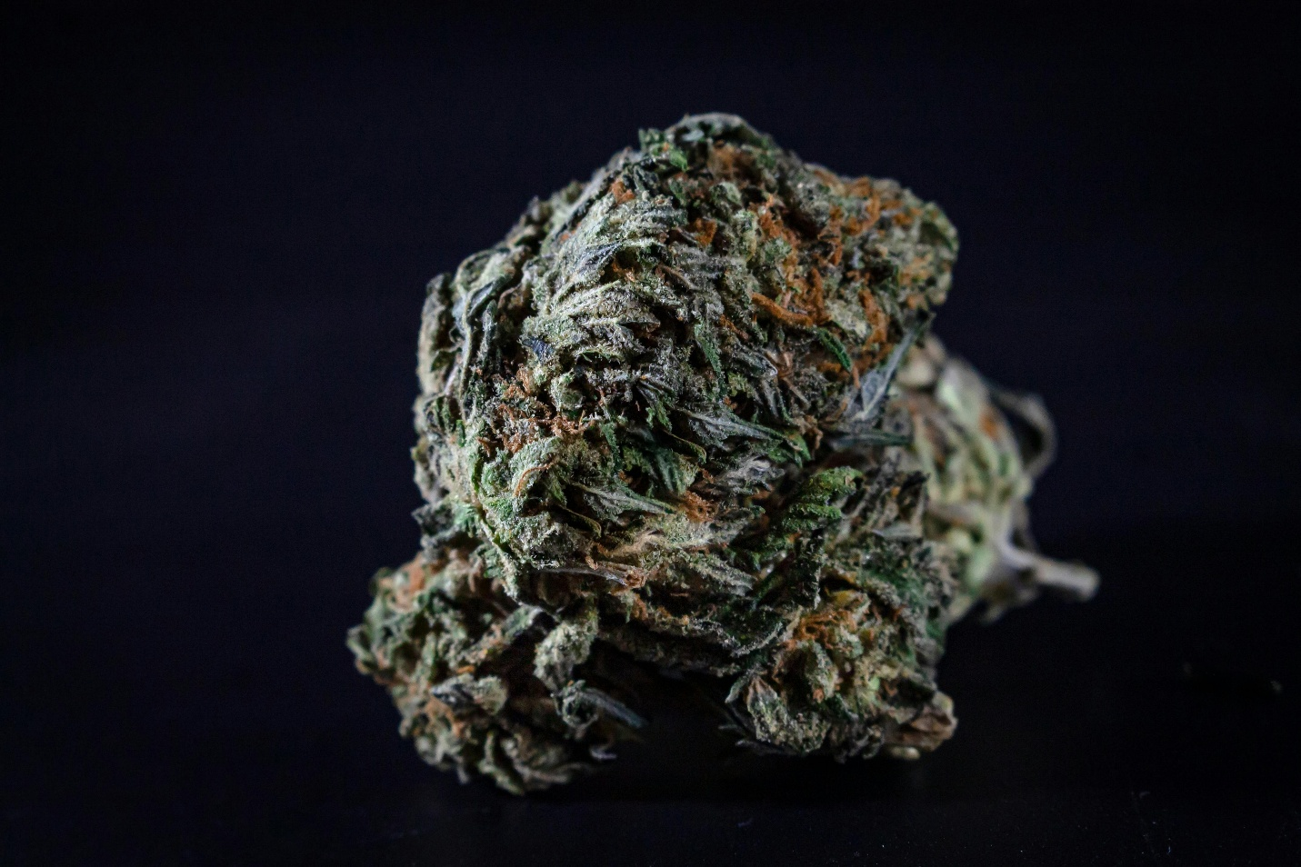 Cannabis in a black jar