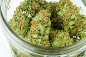 Cannabis in a jar