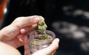  Cannabis in a Container