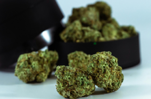Cannabis in a black jar