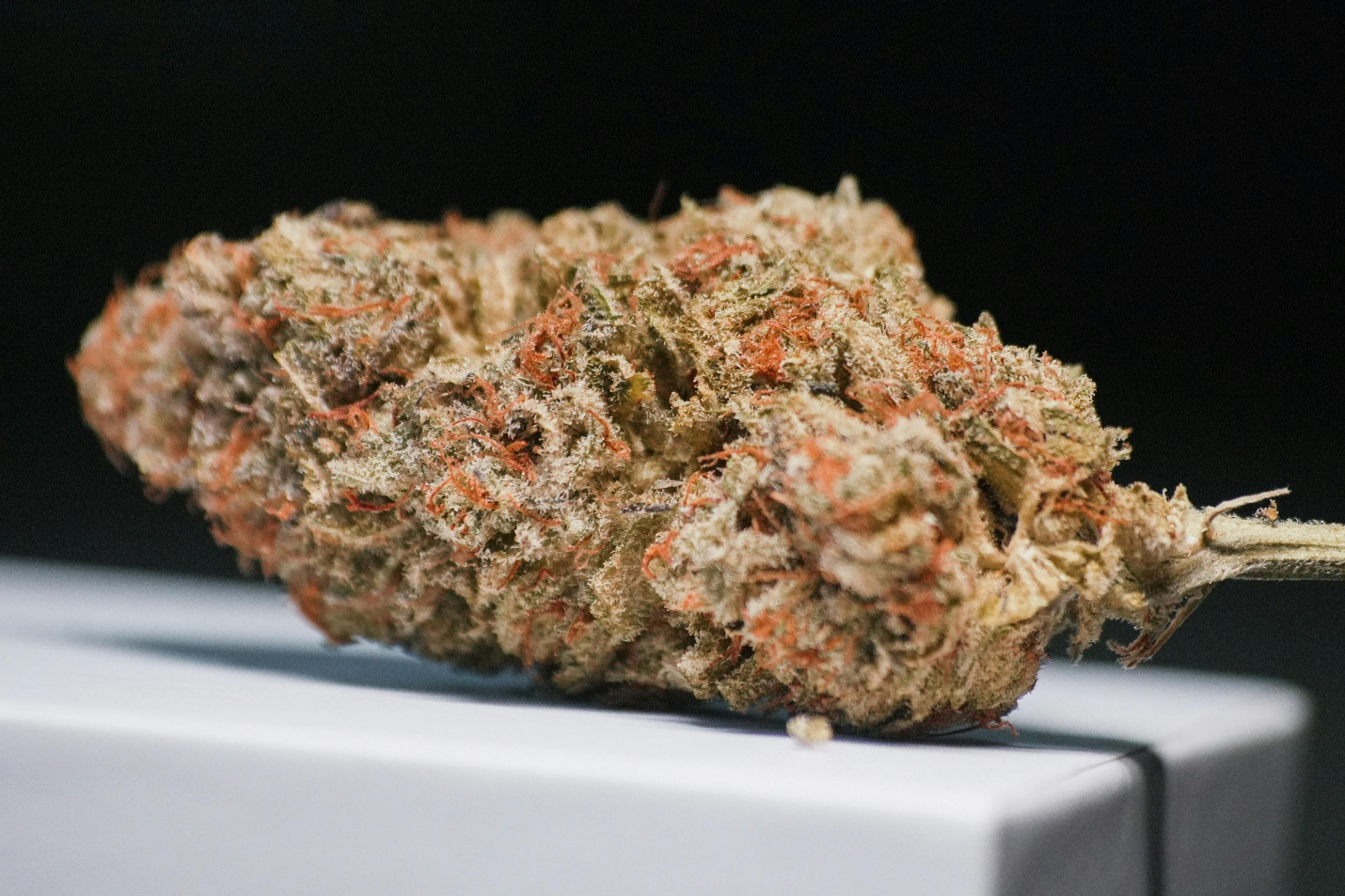 THCa flower