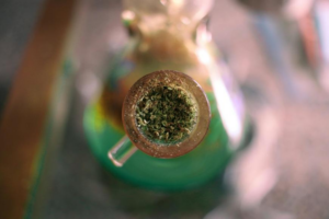 Close-up of a bong tube containing green cannabis herb
