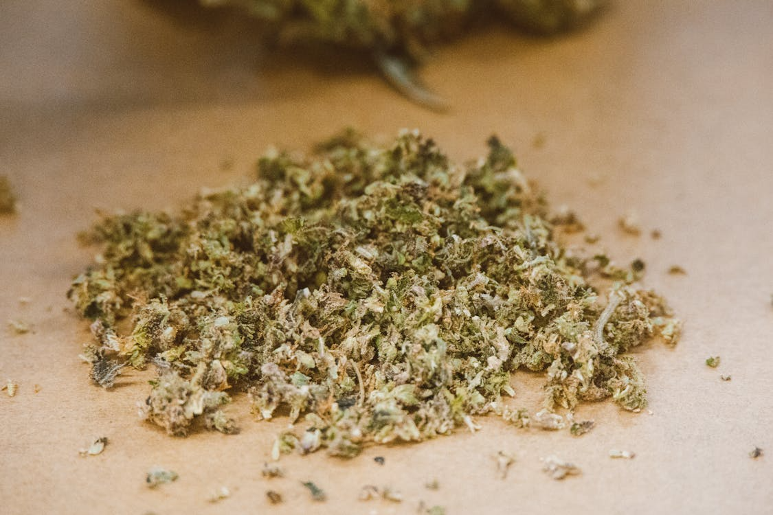 Close-up of loosely trimmed, broken-down cannabis on paper, illustrating how handling and trimming affect cannabis freshness standards and flavor quality.