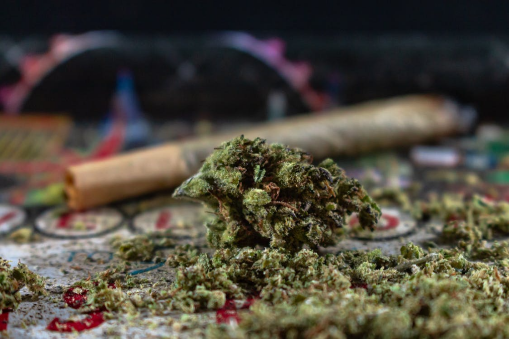 Close-up of a cannabis flower with a rolling paper in the background, representing terpene mood guide decisions based on the environment and perception.