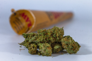 Cannabis flower placed in front of a pre-roll cone, representing cannabis consumption rituals and intentional session preparation.
