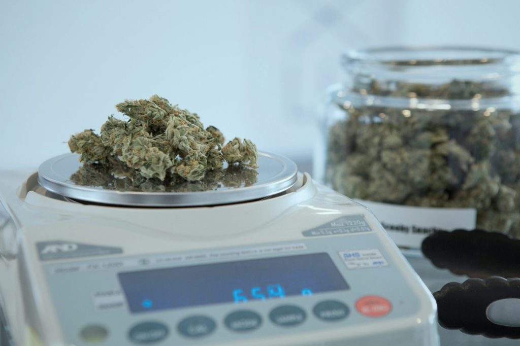 Cannabis buds being weighed on a precision scale in a dispensary, reflecting transparent cannabis sourcing and lab-tested product verification.