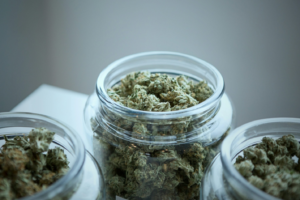 Ground up cannabis in a jar