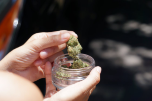 A person taking out a cannabis flower from a jar