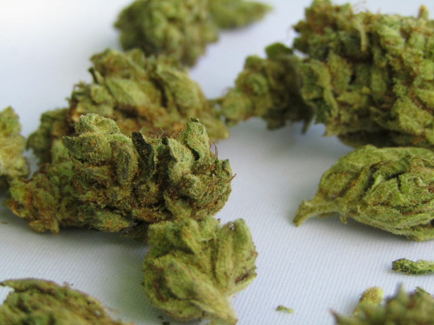 Cannabis flowers