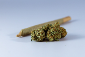 Cannabis pre-roll beside a fresh bud