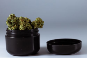 Cannabis buds stored in a black lid container