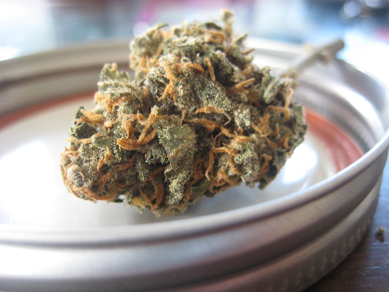A cannabis flower in a silver tray