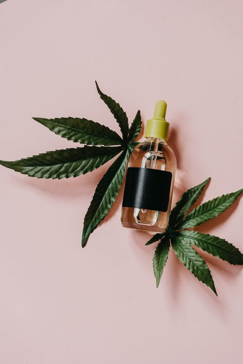 A serum bottle with marijuana leaves on a pink background