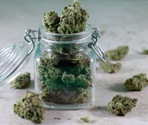 Fresh cannabis buds inside a glass jar